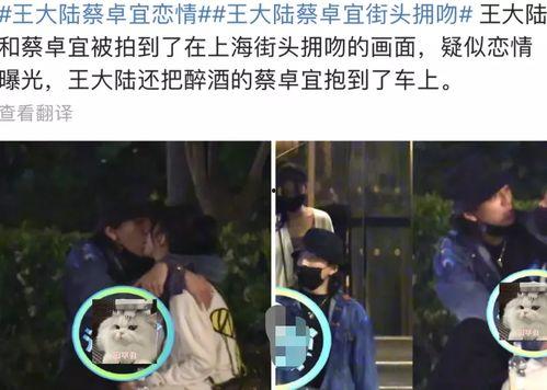 吃瓜爆料王大陆视频下载,独家下载，一睹明星风采