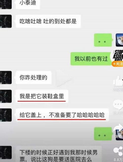 吃瓜爆料视频截图聊天记录,一场娱乐圈的“幕后大戏”