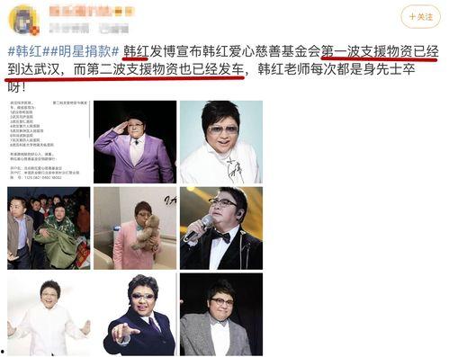 明星网红辽宁疫情捐款