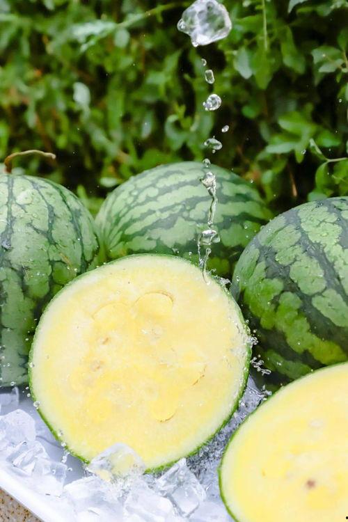 988su黑料吃瓜免费,免费吃瓜背后的真相大揭秘