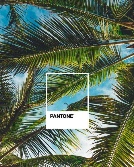 带你吃瓜五彩斑斓的黑,带你走进神秘色彩的世界