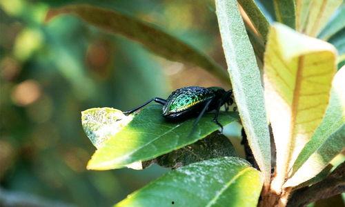 带你吃瓜五彩斑斓的黑,带你走进神秘色彩的世界