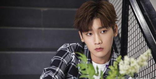 娱乐圈吃瓜爆料卢洋洋