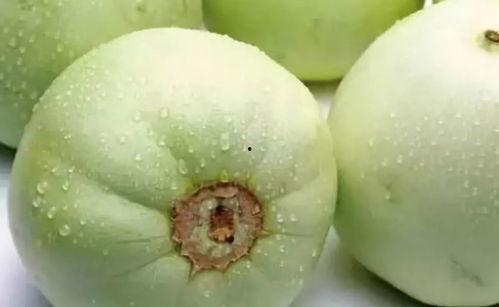 国外吃瓜爆料盘点是真的吗,真相与谣言的辨析盘点