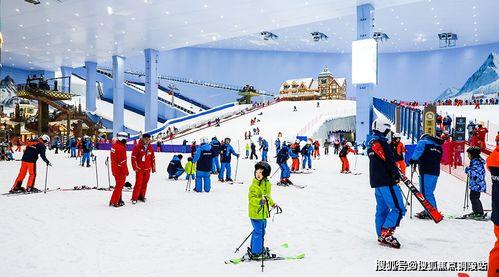 明星网红逃税原因分析,揭秘明星网红逃税背后的深层原因