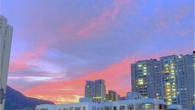 贵圈吃瓜爆料入口微博,跟随微博吃瓜，洞察明星幕后故事”