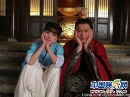 搞笑新闻明星网红视频