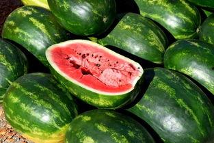 黑科技吃瓜合集,盘点那些颠覆想象的科技奇闻