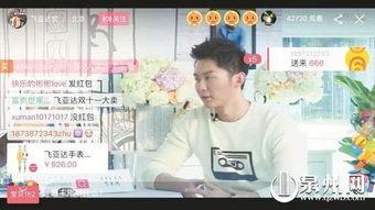 明星网红商业模式,揭秘流量变现的奥秘之路