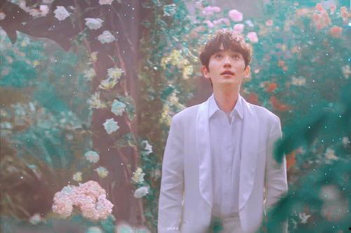 吃瓜爆料李沁黄景瑜,娱乐圈新恋情引热议